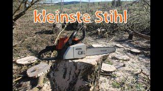 Test und Vorstellung der Stihl MS170, die günstigste Stihl?