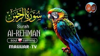 Heart Touching Recitation of Surah Al-Rehman with Beautiful voice  || MAUUAR TV