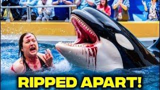 This RECENT Orca Attack On A Female Trainer Left The World STUNNED