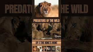 The Mighty Lion: King of the Jungle in Action | Wild Predators Unleashed