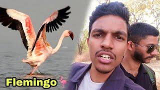 Is Bar Bhi Flamingos Nhi Dikhe  || Navi Mumbai Flamingo Point || Ghansoli To Flamingo Point