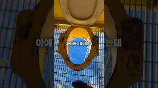 다시 나오게 되는 화장실