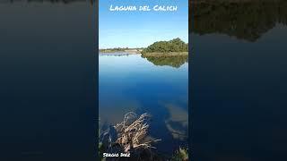 Laguna del Calich ad Alghero #short #shorts #shortsvideo