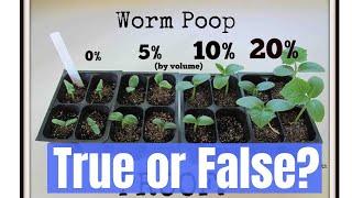 Do worm castings help your vegetables grow faster?