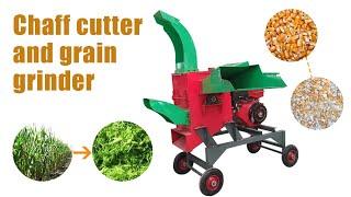 2022 Taizy Combined Chaff Cutter GrInder for Stalks, Straws, Grass, Grain #chaffcutter #grinder