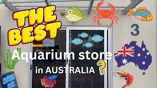 Australia's BEST Aquarium Store ??? - You be the Judge.