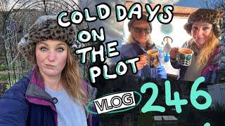 Chilly days on the Allotment. Clearing the greenhouse out and mulching the Dahlias. Ep246 || Plot 37