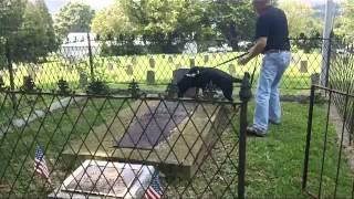 General Evan Shelby Gravesite