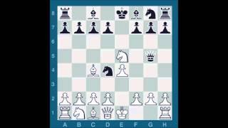 ChessMaster GME: Waitzkin Vs. Arnett