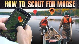 Scout For Moose Tips And Tricks!