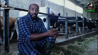 introduction about anan dairy farm #ethiopan dairy farms