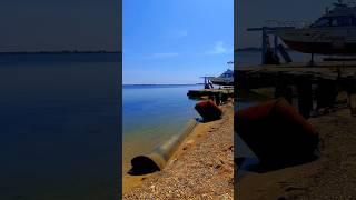 Сезон в Крыму #reaction #germanshepherd #крым #донузлав #nature #beach #recipe #travel #евпатория