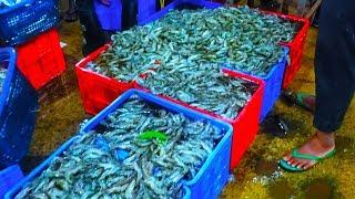 Negombo Lellama | Sea Food Heaven | Fresh Sea Food Sri lanka