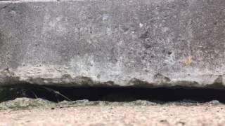 Levelling a Concrete Sidewalk