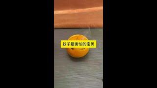 蚊子最害怕的宝贝 #分享生活小技巧 #小技巧 #日常生活小妙招
