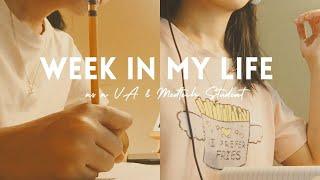 My life as a Full-time VA & Medtech student