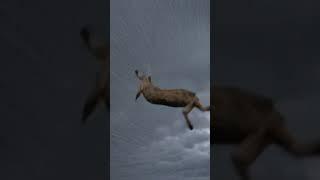 Revolutionizing animation with AI—experience AI Motion Lab Studio!  #AI #MotionDesign #Artificial