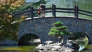 Take A Look Inside Fresno’s Hidden Garden Of Serenity