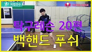 탁구레슨 비법전수 20편[백핸드 푸쉬] How to Tabletennis Lesson