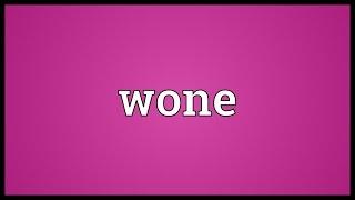 Wone Meaning