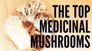 The TOP Medicinal Mushrooms: Immunity, Energy, Anti-Stress & More