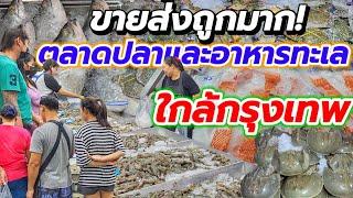 ห้ามพลาดเปิดใหม่!!ตลาดปลาและอาหารทะเลสดๆ ราคาส่งถูกมาก ซื้อเยอะลดเป็นพัน มีครบจบที่เดียว