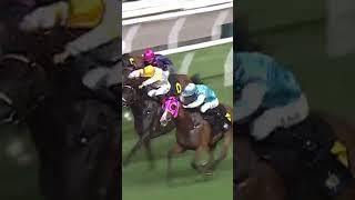 1 SWEET BRIAR - L. Hewitson #LHewitson #LyleHewitson #Hewitson #Racing #Sport #Shorts #賽馬短片