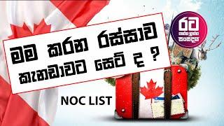 මම කරන රස්සාව කැනඩාවට සෙට් ද ? || NOC List |  How to find the NOC code ?