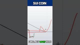 SUI Coin Token Price Prediction #shorts