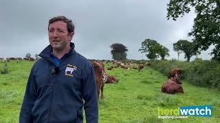 AgVentures by Herdwatch: Episode 7 -  Sion Thomas - Running a Pedigree Dairy Shorthorn Herd in Wales