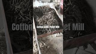 Cotton stalk pellet machine - biomass pellet mill for rice straw husk wheat straw cotton stalk