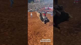 O TOURO MAIS CARO DO BRASIL PULANDO EM BARRETOS 2023,TOURO "ACESSO NEGADO"(video zika bullfighter)