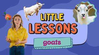 Learn to Talk with It’s CeCe! I Little Lesson on GOATS I Videos for Babies & Toddlers I Baby Animals