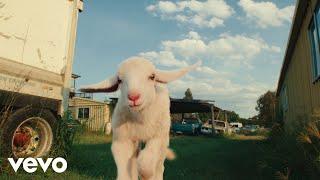 Mallrat - Horses (Official Video)