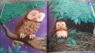 I'm Not Sleepy!- By: Jane Chapman- READ ALOUD- StoryScape