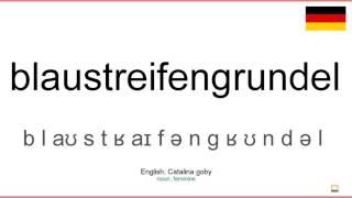 How to pronounce: Blaustreifengrundel (German)