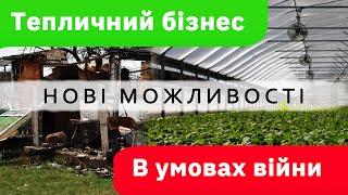 Тепличний бізнес в Україні. Від хобі до прибуткового бізнесу один крок!