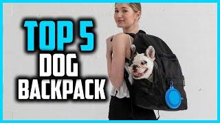 Top 5 Best Dog Backpacks Reviews of 2024
