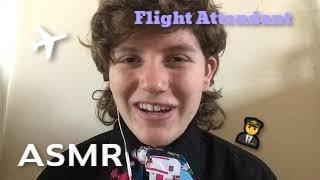 ASMR Flight Attendant