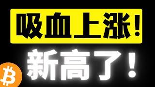 比特币独舞，突破历史持续新高！短期压力在哪里？吸血上涨不带山寨玩？一个策略跑赢市场95%的散户！比特币行情分析