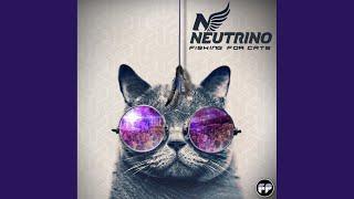 Fishing For Cats (Original Mix)