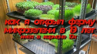 Как открыть ферму микрозелени? Бизнес на выращивании микрозелени! Как продавать микрозелень?