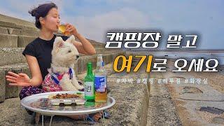 Camping with a dog in front of the ocean | Crab and Soju