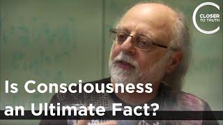 Fred Alan Wolf - Is Consciousness an Ultimate Fact?