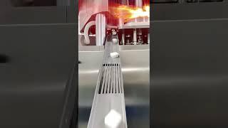 Sachet packing machine, quality assurance Minipress.ru