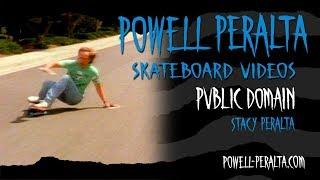 PUBLIC DOMAIN CH. 1 STACY PERALTA