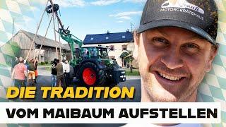 Setting up the Maypole - A Bavarian tradition