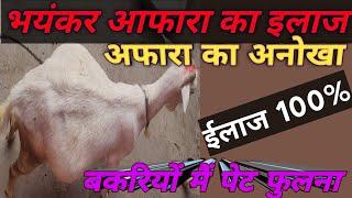 बकरियों का पेट का फूलने का जादुई ईलाज // bakri me afara ka ilaj //