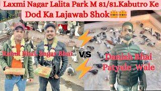 Laxmi Nagar Lalita Park M (2) Nutal Rahul Bhai Or Danish Bhai K 81/81 KabutaroKe Dod Ka Shok