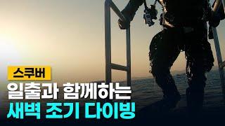 스킨스쿠버 하면서 일출보기